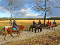 Wanderritt in Börstel mit Gaby